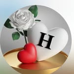 husnalam_ali_53 - @husnaalam_ali - Instagram