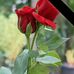 Husna Aziz - Facebook