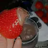 husnakhan - @husnakhan082 - TikTok