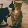 HusnaKhan - @husna_khan_32 - TikTok