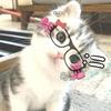 Husna Patel - @husna.patel8 - TikTok