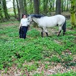 @husoo_salihovic - Instagram
