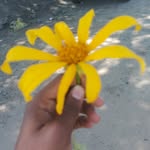 hussali 7086 - @hussali______7909 - Instagram