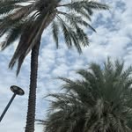 @hussain__hamza___ - Instagram