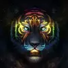 hussainhamza416 - @hussainhamza416 - TikTok
