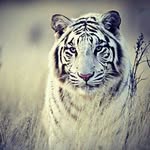 Hussain - @hussain_karim_ - Instagram