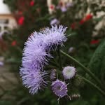 Hussain Singh - @hussainsingh9 - Instagram