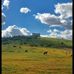 Hussen El Bitar - Facebook