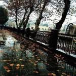 Hussam Othman - @hossam.othman.1 - Instagram
