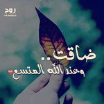 عبدالحليم  حسين - @abdelhalim.hussein.1 - Instagram