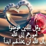Hussein AbdElsalam - @abdelsalam9316 - Instagram
