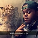 @hussein_abdi - Instagram