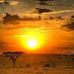 Hussein Abdi - Facebook