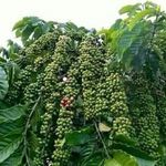 Hussein Abdulkadir - @husseinabdulkadir2165 - Instagram