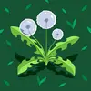 Hussein Adan - @hussein.adan96 - TikTok