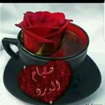 Afif Hussein - @afif.hussein - Instagram