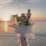Hussein Afif - @husseinafif3 - Instagram