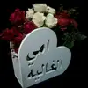 Hussein Alani - @hussein.alani2 - TikTok