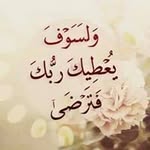 Hussein Chebli - @hussein_a_chebli - Instagram