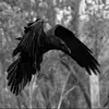 Hussein Fayad - @h.f909 - TikTok