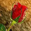 Hussein Mroue582 - @husseinmroue582 - TikTok