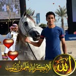 Hussein Ramadan - @hussein_ramadan700 - Instagram