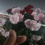 태휘김 - Facebook