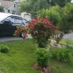 hyacinth  brown - @hyacinth7863 - Instagram