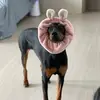 HyeChu.sri - @hyechu.sri - TikTok