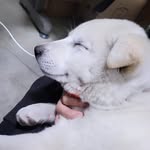 @___hyemoon___ - Instagram