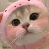 Hye Moon Park - @hye.moon.park - TikTok