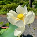 혜양사慧洋寺 - @hyeyangsa - Instagram