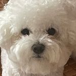 @hyo_limit_infinity_ - Instagram