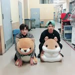 HYUN TAEWOO + LEE WANGSOO - @mcknightnuggets - Instagram