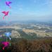 이현광 - Facebook