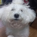 조현민 - @hyunmin_cho0504 - Instagram