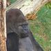 Iain Barclay - Facebook