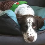 Iain Bruce - @iain.bruce.48 - Instagram
