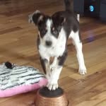 Iain Davies - @iain.davies.739 - Instagram