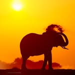 Iain Fleming - @iain.fleming1 - Instagram