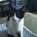 Iain Fleming - Facebook