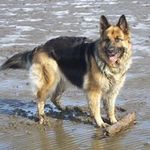 Iain Harrison - @iain.harrison - Instagram