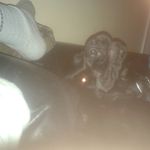 iain marshall - @iain_marshall17 - Instagram