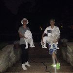 Iain Marshall - @lainmarshall - Instagram