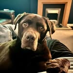 Iain Marshall - @monsterlugs - Instagram