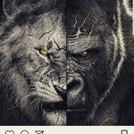 Iain J Mcintyre - @iainjmcintyre - Instagram