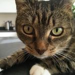 Iain James McIntyre Smith - @iainjamesmcintyresmith - Instagram