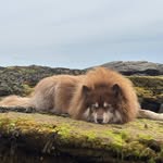 Iain Paterson - @iain.paterson1973 - Instagram
