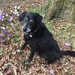 Iain Paterson - @iap1620 - Instagram
