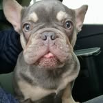 Iain Paton - @patoniain - Instagram